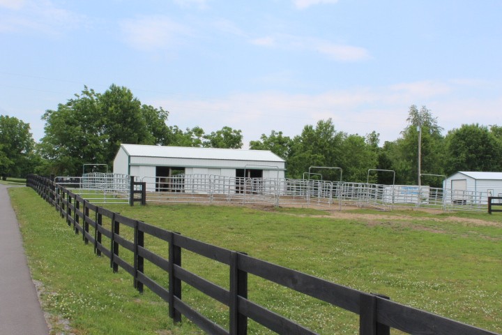 5534 Hickory Ridge Road Lebanon, TN 37090 - Photo 10 of 50 a view of a house with pool and a yard