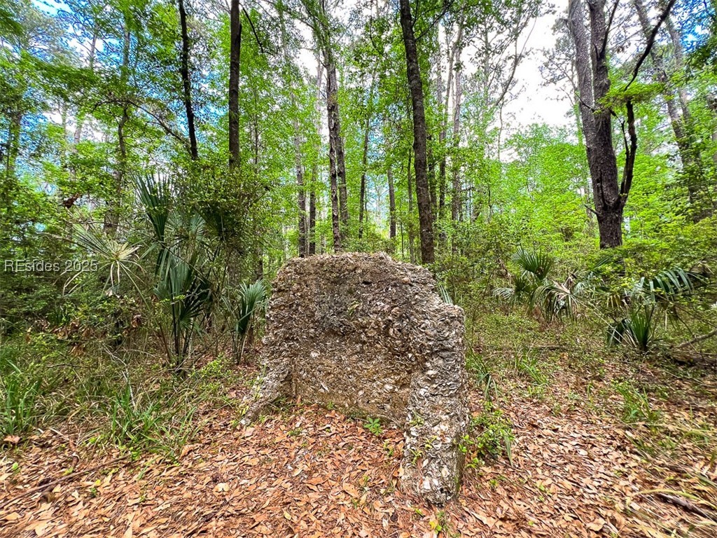 259 Old Haig Point Road Daufuskie Island, SC 29915 - Photo 11 of 30
