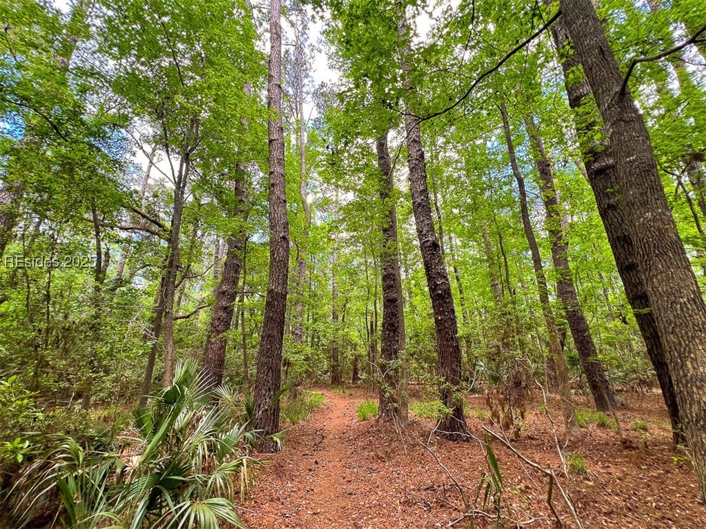 259 Old Haig Point Road Daufuskie Island, SC 29915 - Photo 12 of 30