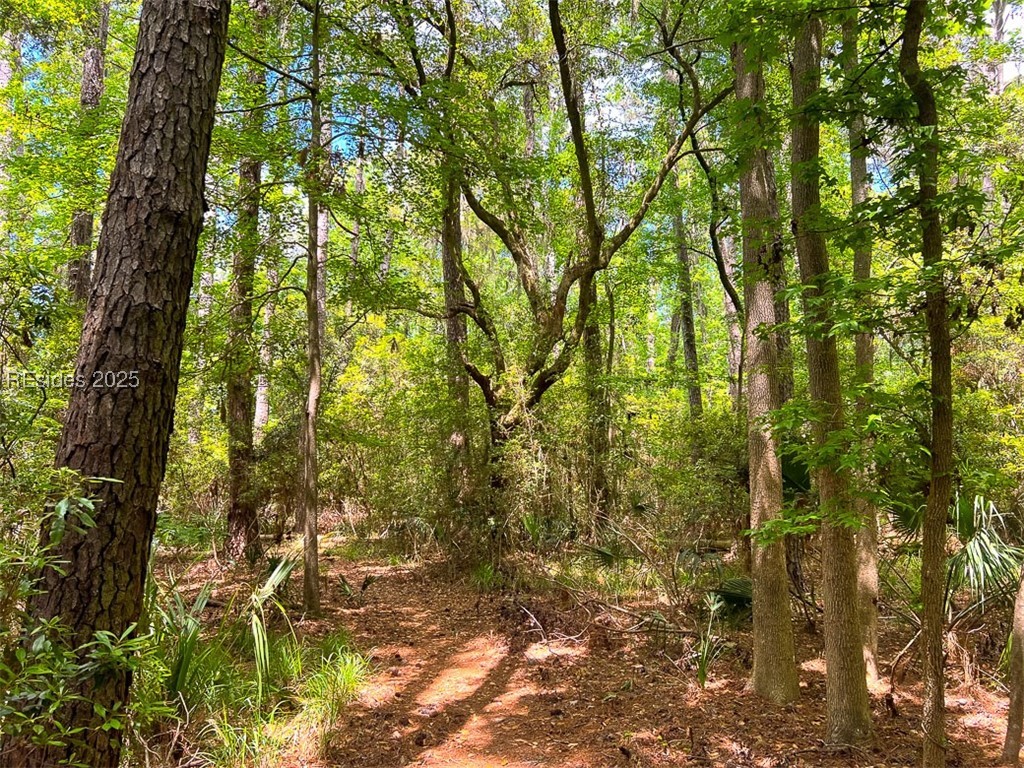 259 Old Haig Point Road Daufuskie Island, SC 29915 - Photo 13 of 30