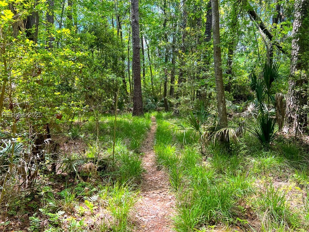 259 Old Haig Point Road Daufuskie Island, SC 29915 - Photo 14 of 30