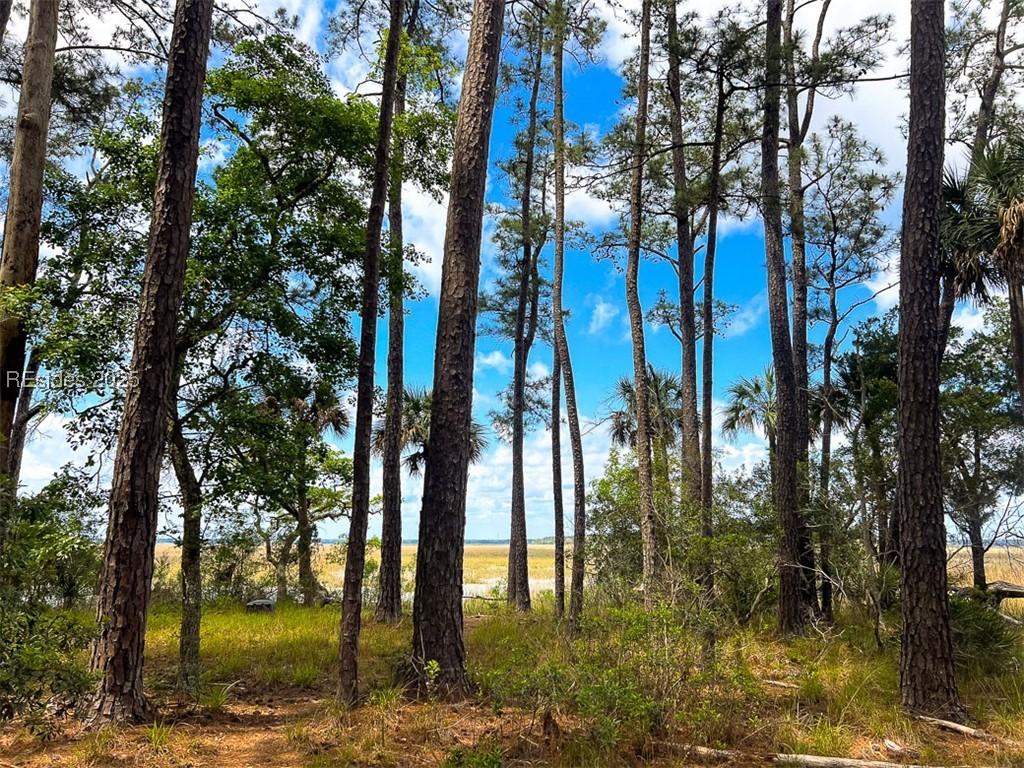 259 Old Haig Point Road Daufuskie Island, SC 29915 - Photo 15 of 30