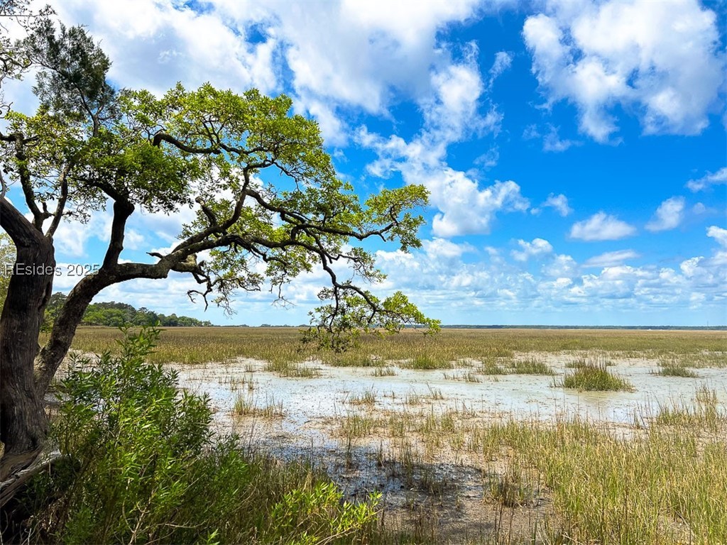 259 Old Haig Point Road Daufuskie Island, SC 29915 - Photo 16 of 30