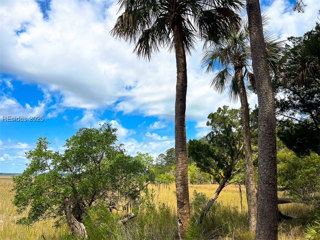 259 Old Haig Point Road Daufuskie Island, SC 29915 - Photo 17 of 30