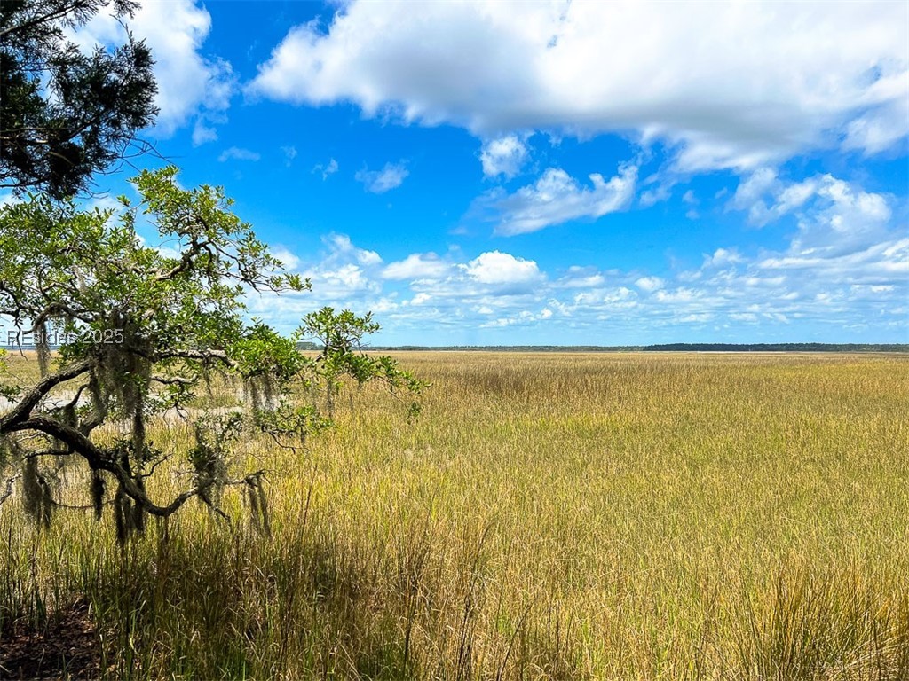 259 Old Haig Point Road Daufuskie Island, SC 29915 - Photo 18 of 30