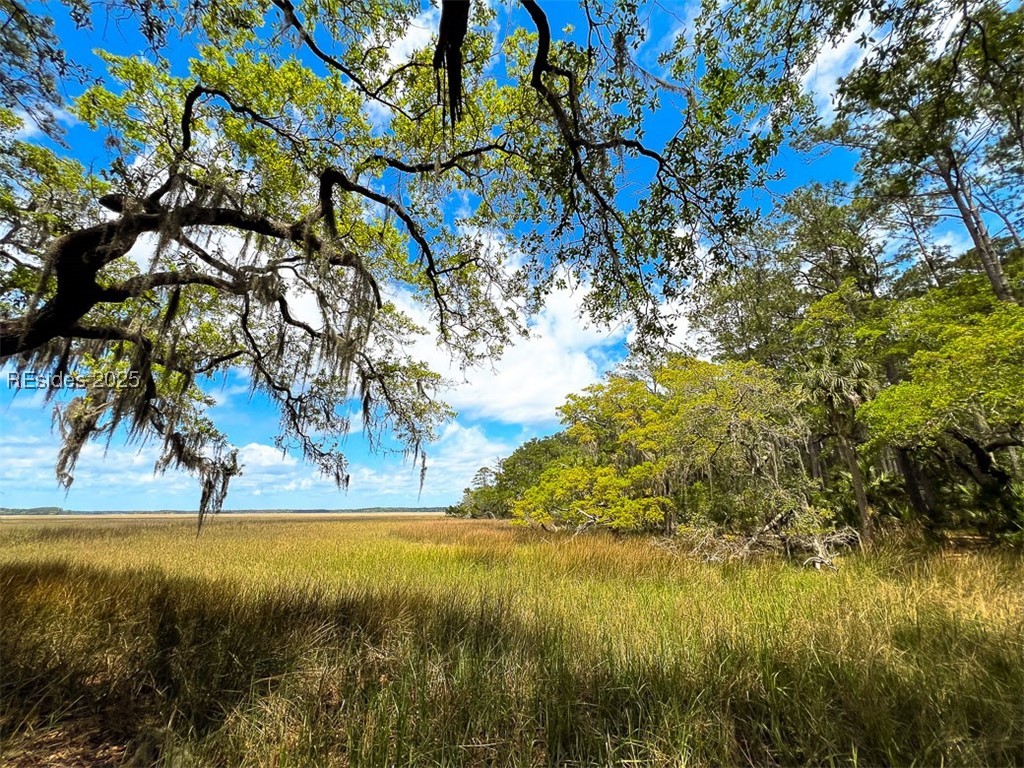 259 Old Haig Point Road Daufuskie Island, SC 29915 - Photo 19 of 30