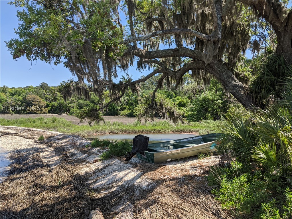 259 Old Haig Point Road Daufuskie Island, SC 29915 - Photo 22 of 30