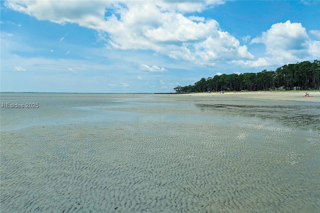 259 Old Haig Point Road Daufuskie Island, SC 29915 - Photo 26 of 30