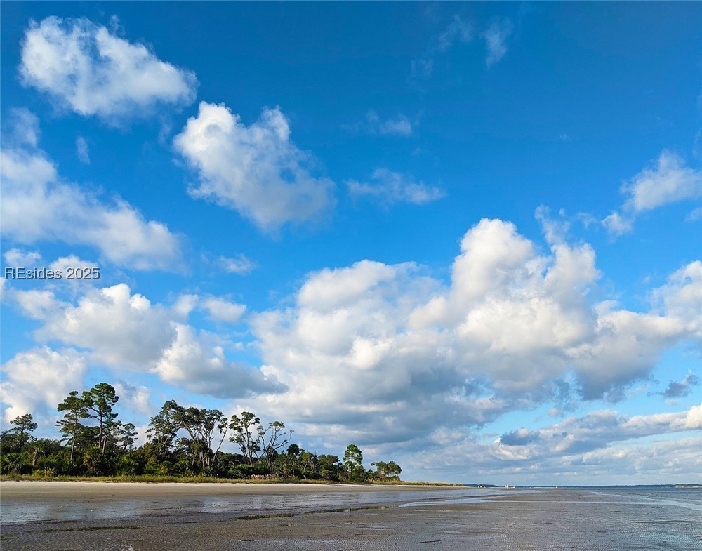 259 Old Haig Point Road Daufuskie Island, SC 29915 - Photo 27 of 30