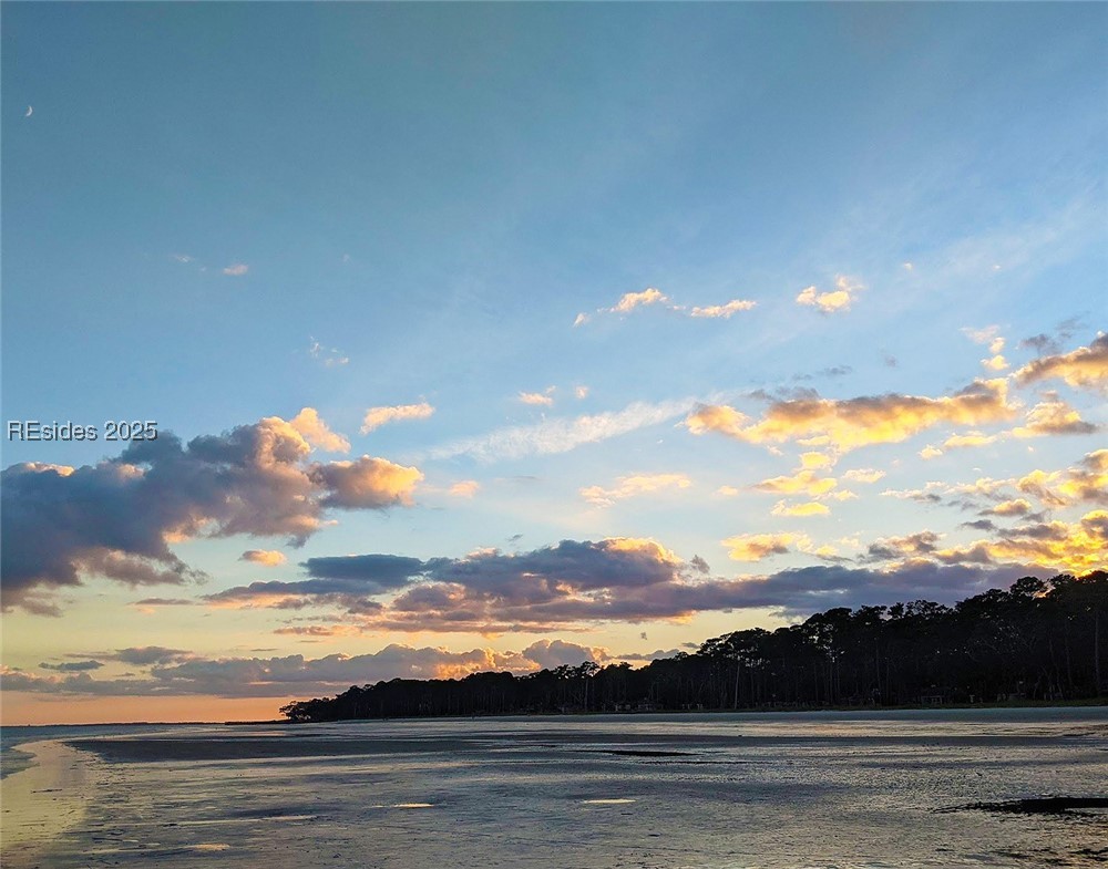 259 Old Haig Point Road Daufuskie Island, SC 29915 - Photo 28 of 30