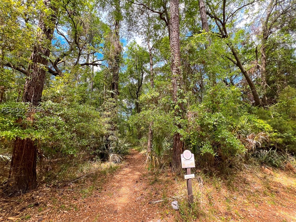 259 Old Haig Point Road Daufuskie Island, SC 29915 - Photo 4 of 30