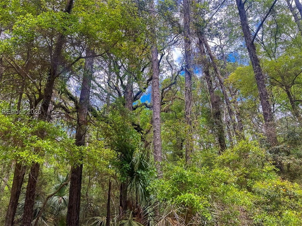 259 Old Haig Point Road Daufuskie Island, SC 29915 - Photo 5 of 30
