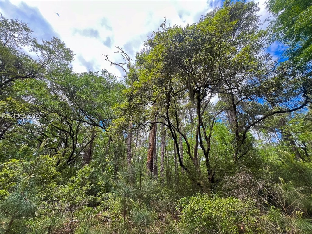 259 Old Haig Point Road Daufuskie Island, SC 29915 - Photo 6 of 30