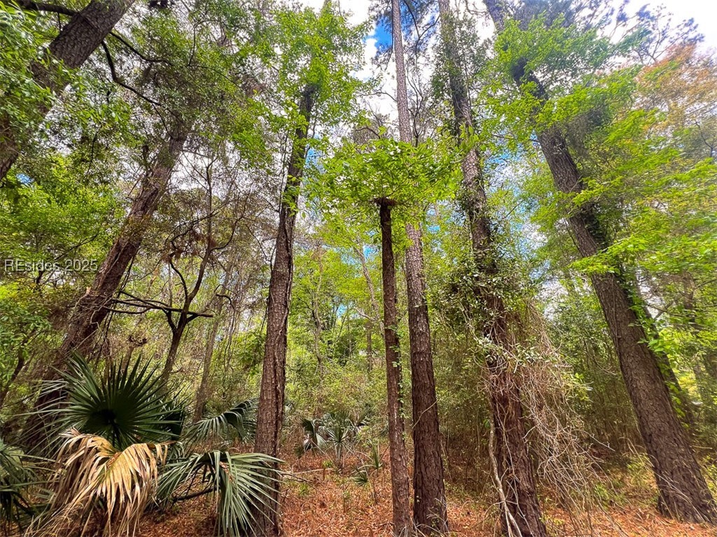 259 Old Haig Point Road Daufuskie Island, SC 29915 - Photo 7 of 30