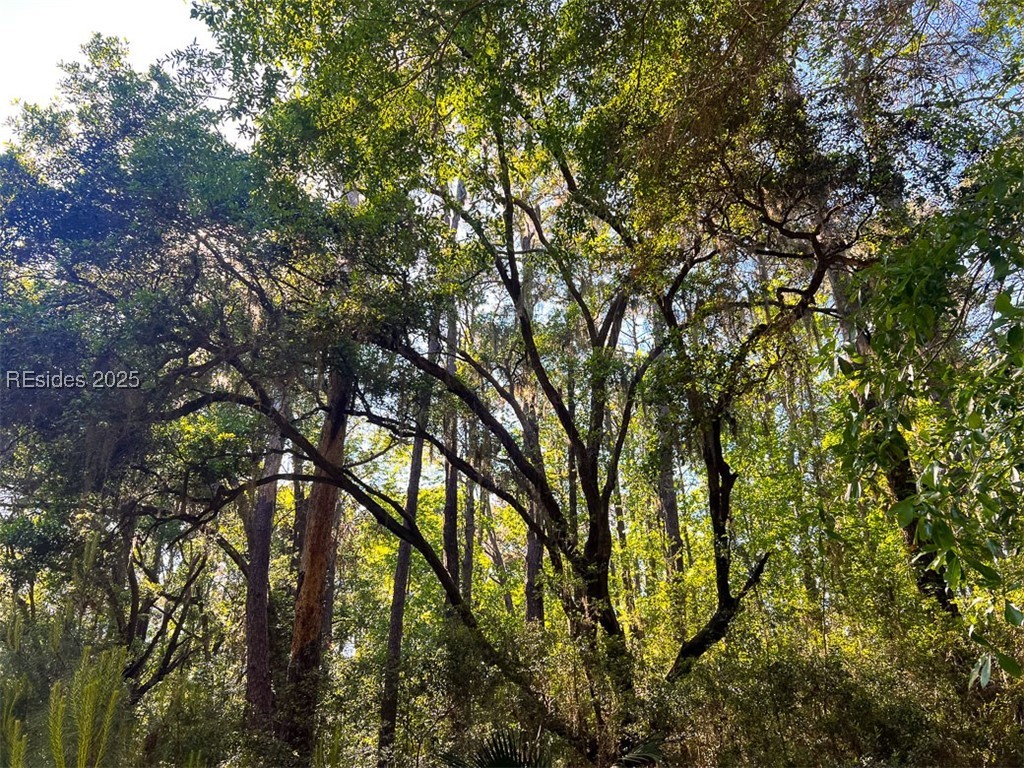 259 Old Haig Point Road Daufuskie Island, SC 29915 - Photo 8 of 30