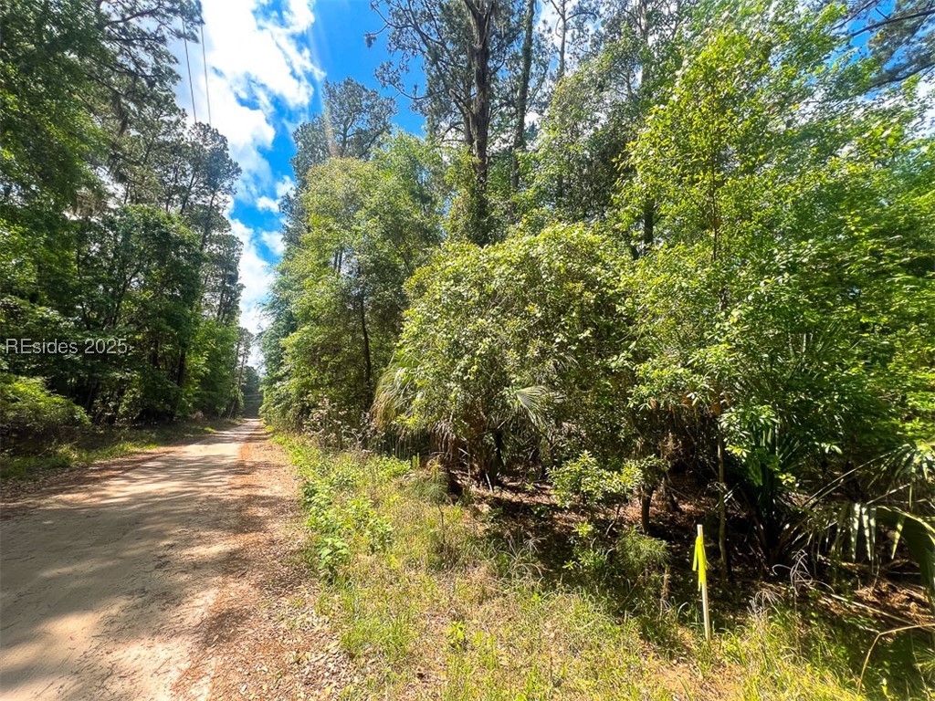 259 Old Haig Point Road Daufuskie Island, SC 29915 - Photo 9 of 30