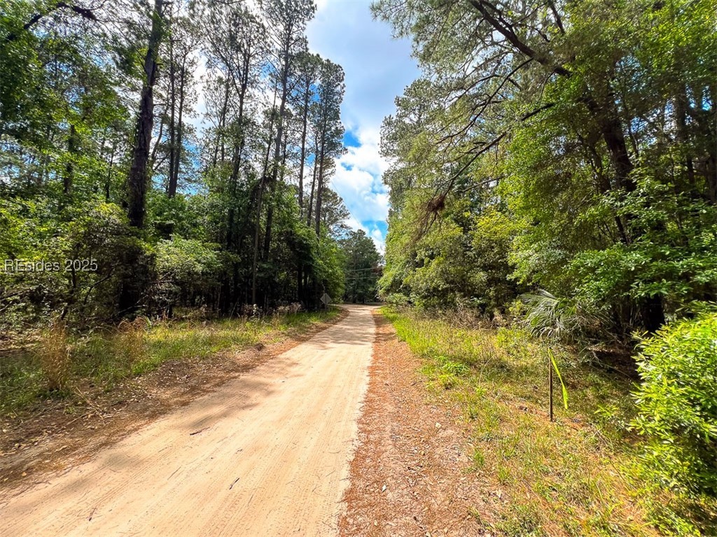 259 Old Haig Point Road Daufuskie Island, SC 29915 - Photo 10 of 30