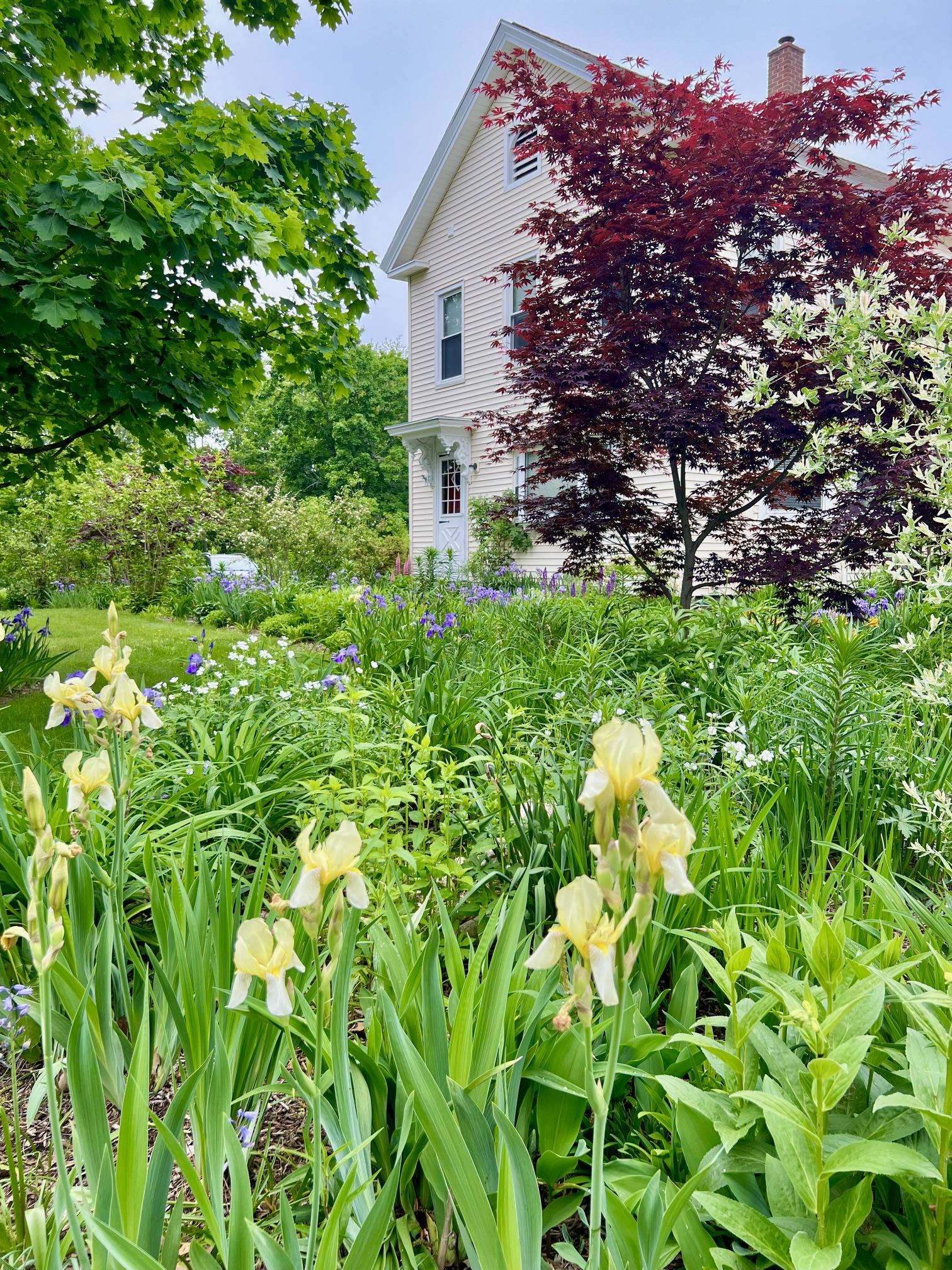 29 Spaulding Street Milford, NH 03055 - Photo 3 of 60