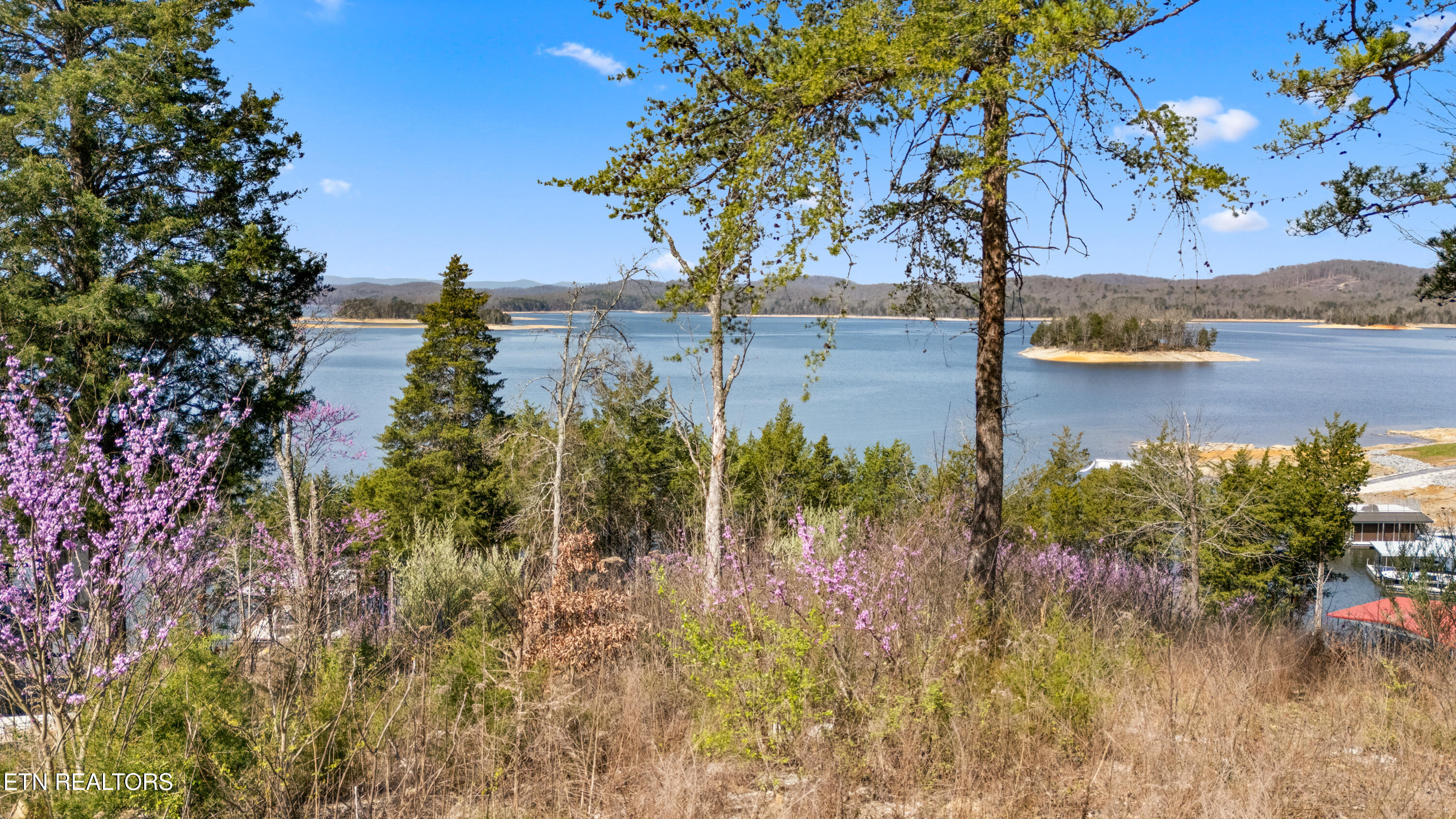 Lot 765 Russell Brothers Road Sharps Chapel, TN 37866 - Photo 1 of 30 View from top of lot