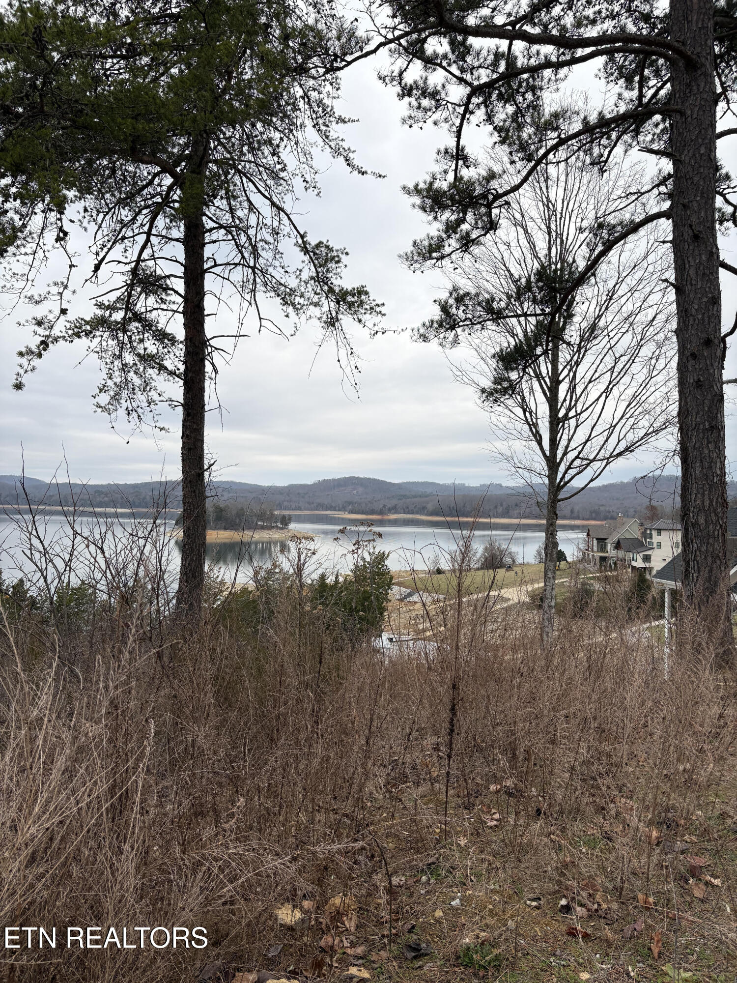 Lot 765 Russell Brothers Road Sharps Chapel, TN 37866 - Photo 13 of 30 View from road right side