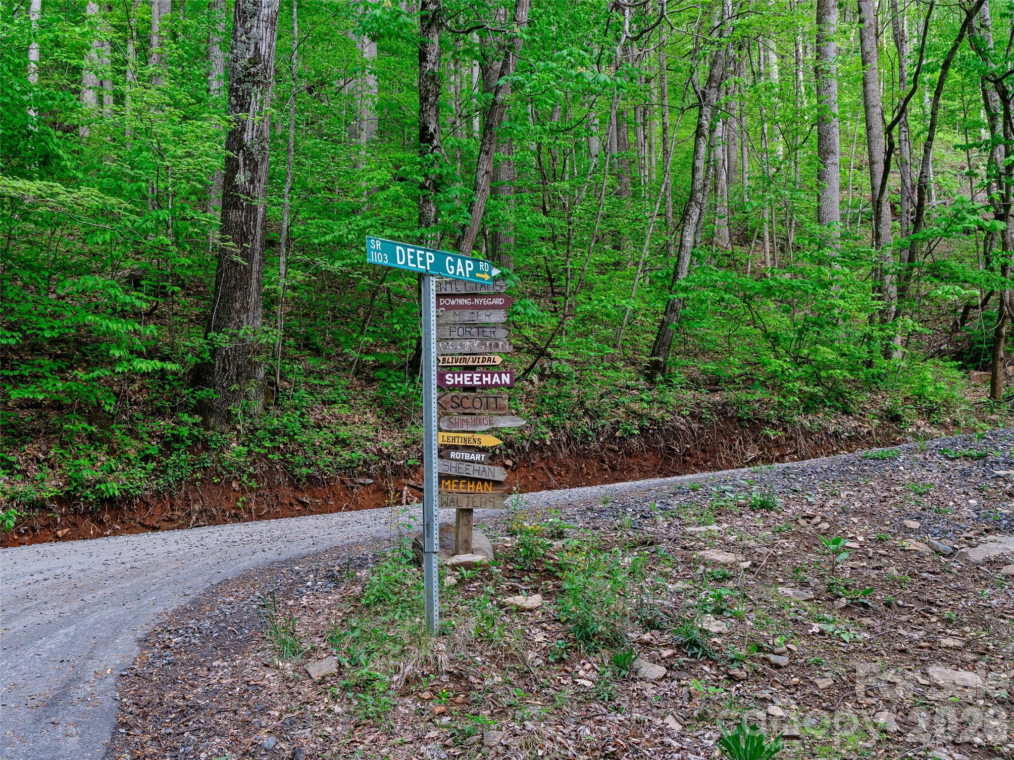 1161 Deep Gap Road Burnsville, NC 28714 - Photo 4 of 14
