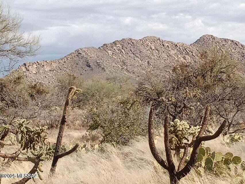 18 West Diamond Bell Ranch Road, Unit 403 Tucson, AZ 85736 - Photo 7 of 20 Gallery Image 7