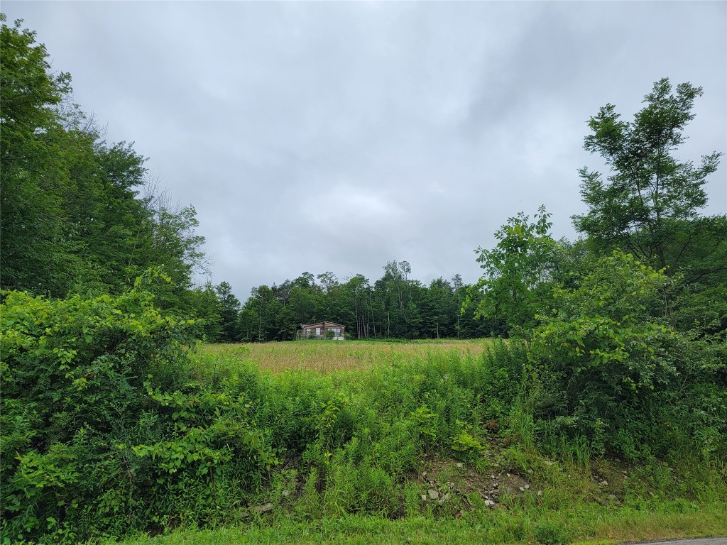 377 Williams Road Windsor, NY 13865 - Photo 27 of 27