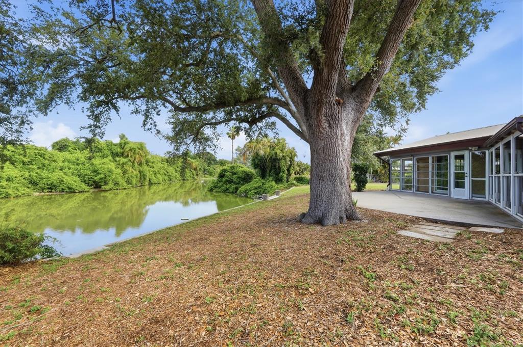 425 Driftwood Road Venice, FL 34293 - Photo 35 of 51