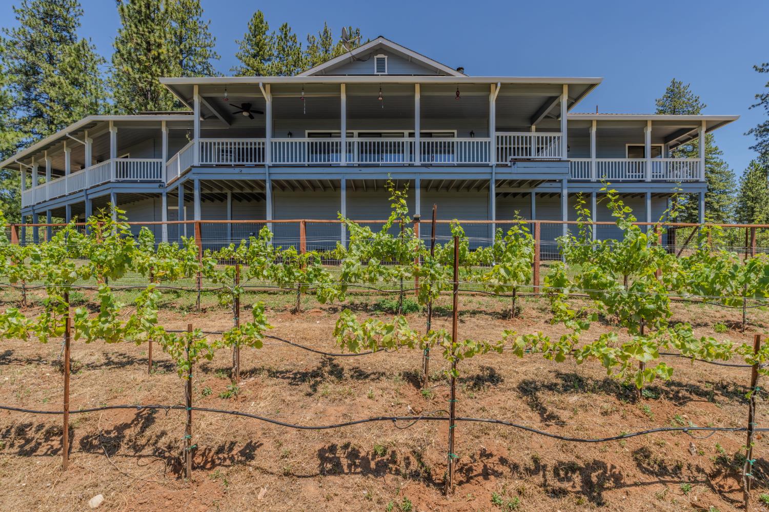 18591 Ponderosa Hills Road Volcano, CA 95689 - Photo 22 of 92