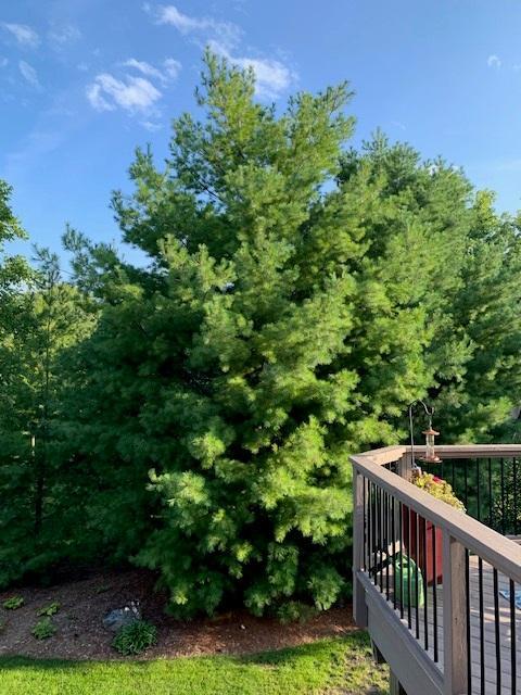 4120 Kings Road Chanhassen, MN 55331 - Photo 62 of 63