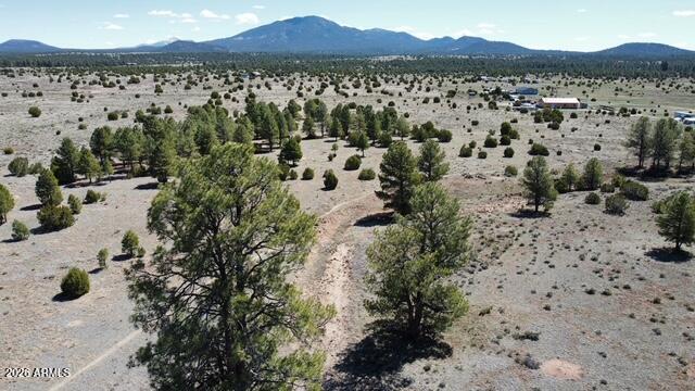 5303 Red Mountain Road, Unit 3 Williams, AZ 86046 - Photo 14 of 15 dji_fly_20260415_105020_924_177627555702