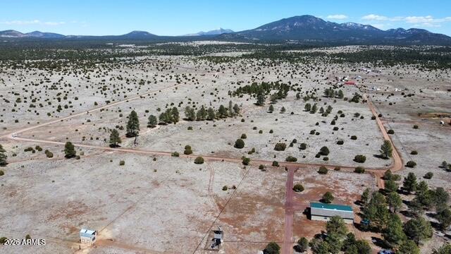 5303 Red Mountain Road, Unit 3 Williams, AZ 86046 - Photo 4 of 15 dji_fly_20240416_135210_737_171330080221