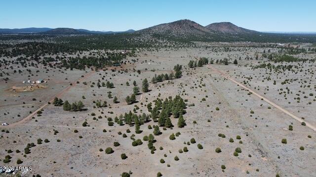 5303 Red Mountain Road, Unit 3 Williams, AZ 86046 - Photo 7 of 15 dji_fly_20260415_104750_920_177627540847