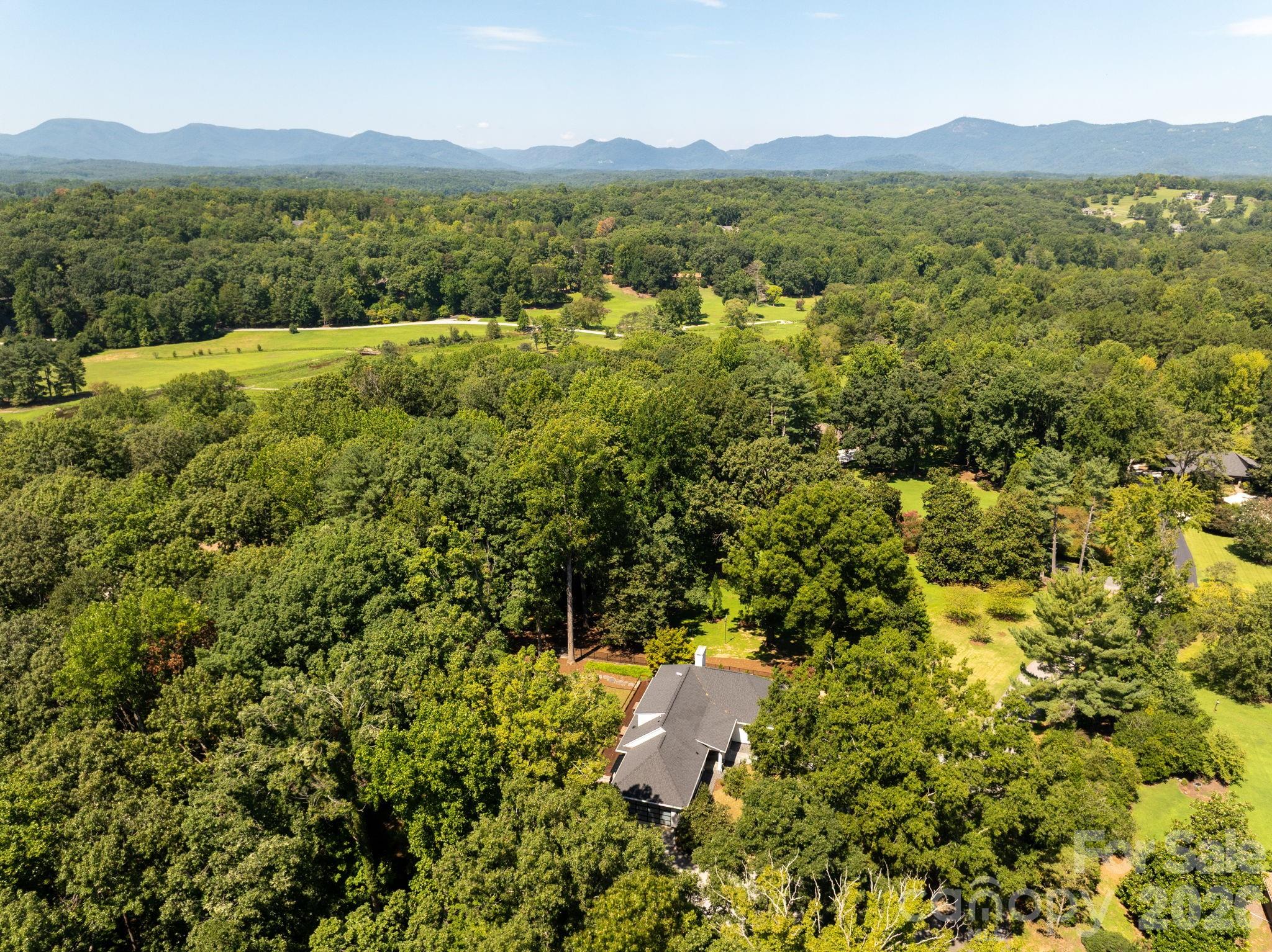 159 Silver Fox Lane Tryon, NC 28782 - Photo 3 of 48 Gallery Image 3