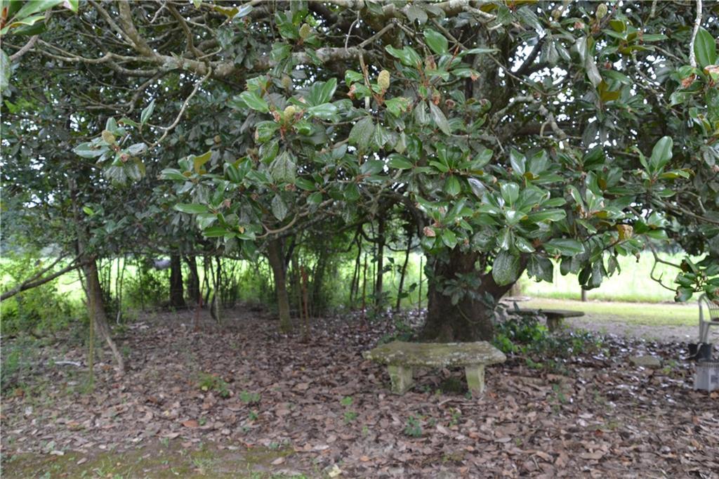 61096 Smilin Acres Road Amite, LA 70422 - Photo 5 of 6