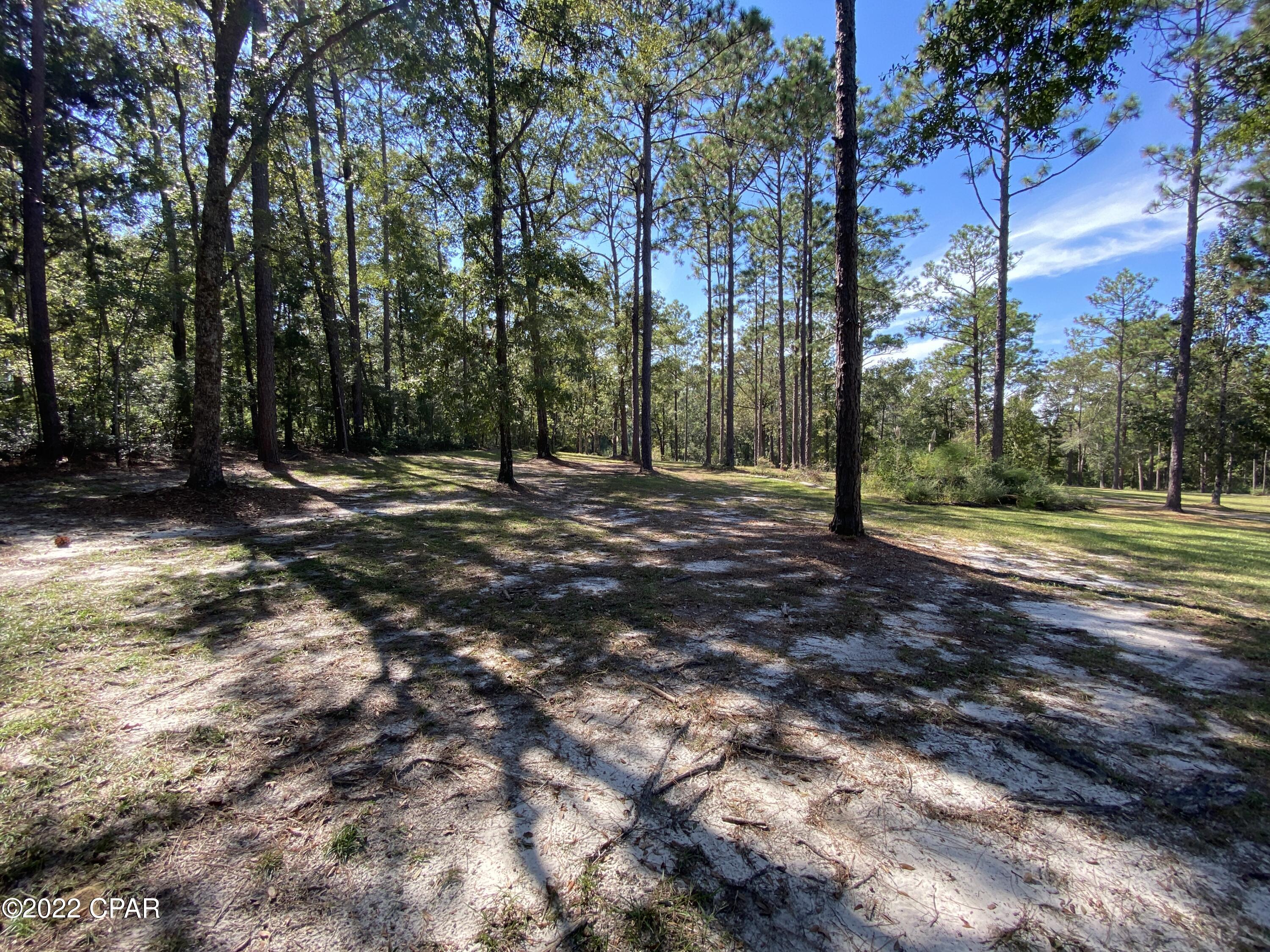 1146 Pine Forest Road Chipley, FL 32428 - Photo 55 of 92