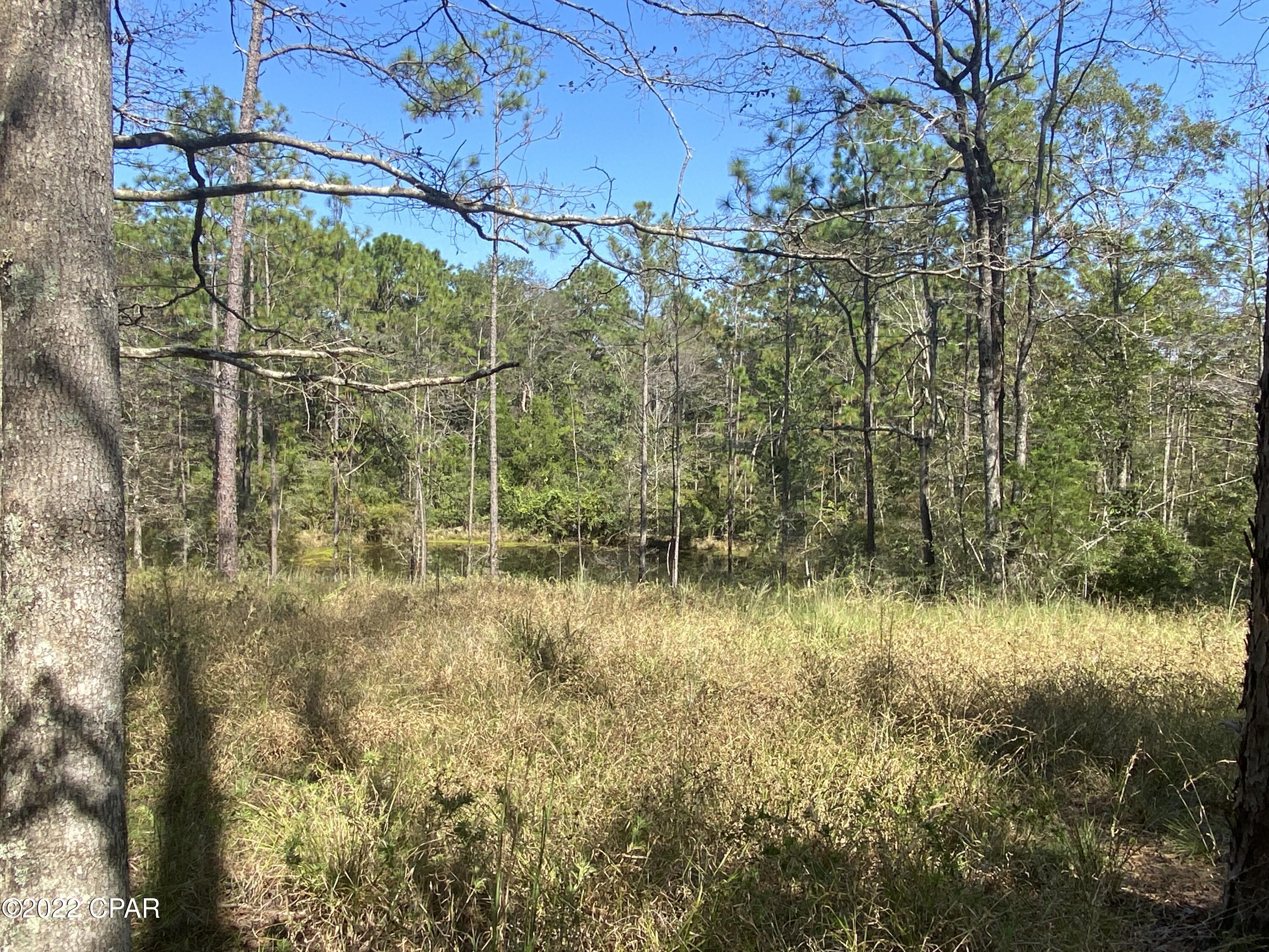1146 Pine Forest Road Chipley, FL 32428 - Photo 57 of 92