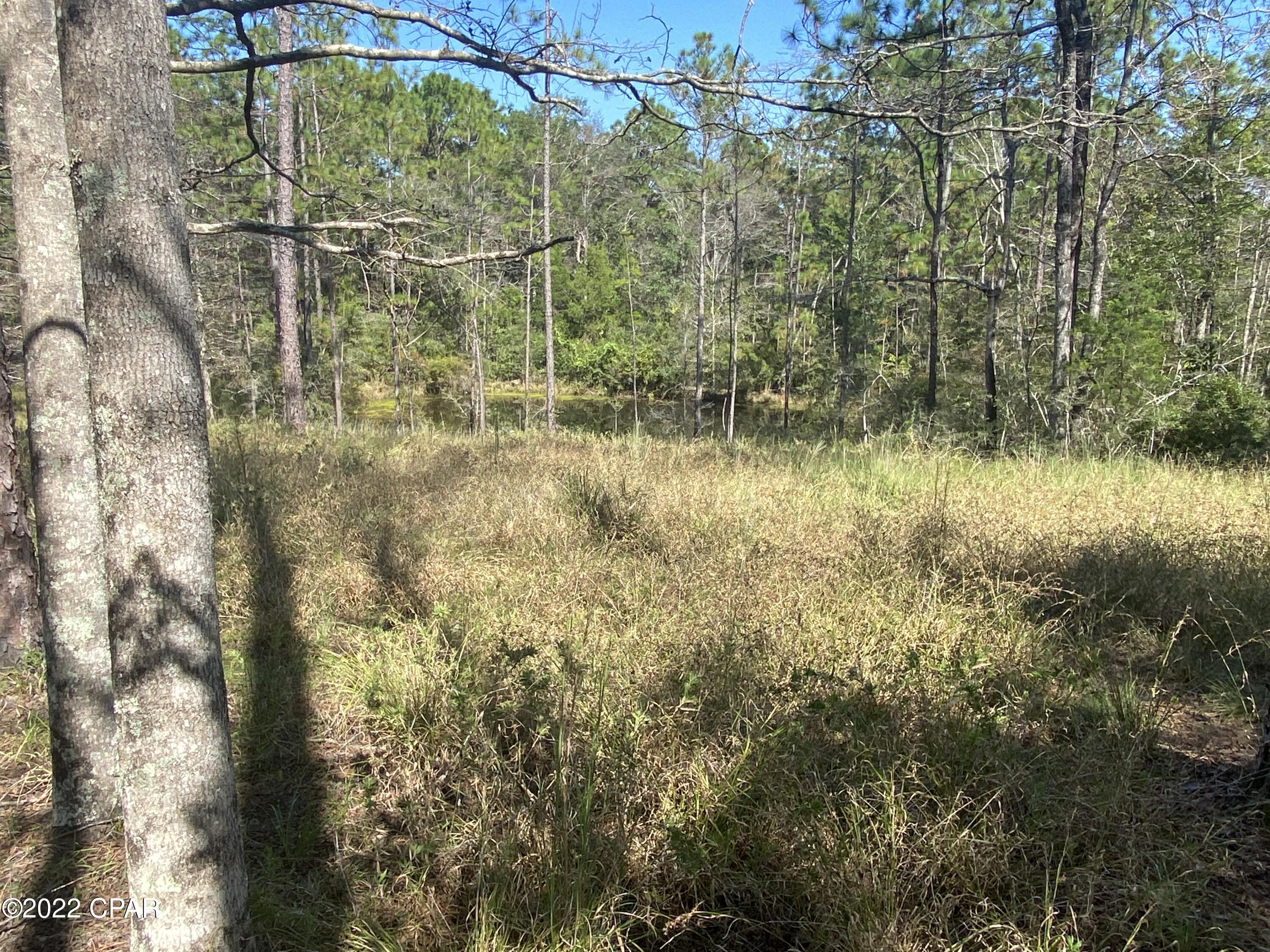 1146 Pine Forest Road Chipley, FL 32428 - Photo 58 of 92