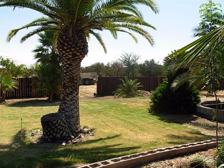 16823 Paula Road Madera, CA 93636 - Photo 17 of 21 Gallery Image 17