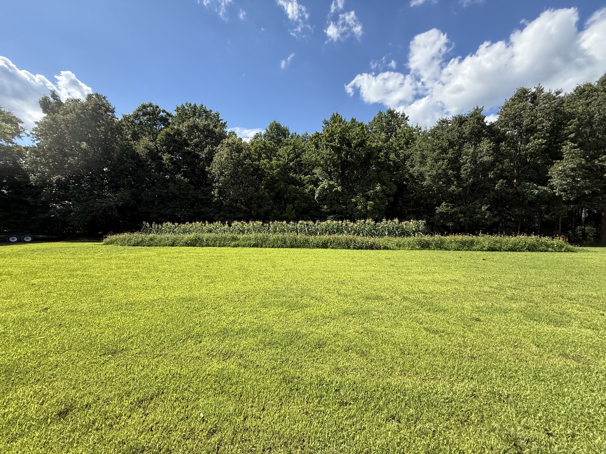 2333 Shady Grove Road McKenzie, TN 38201 - Photo 45 of 72