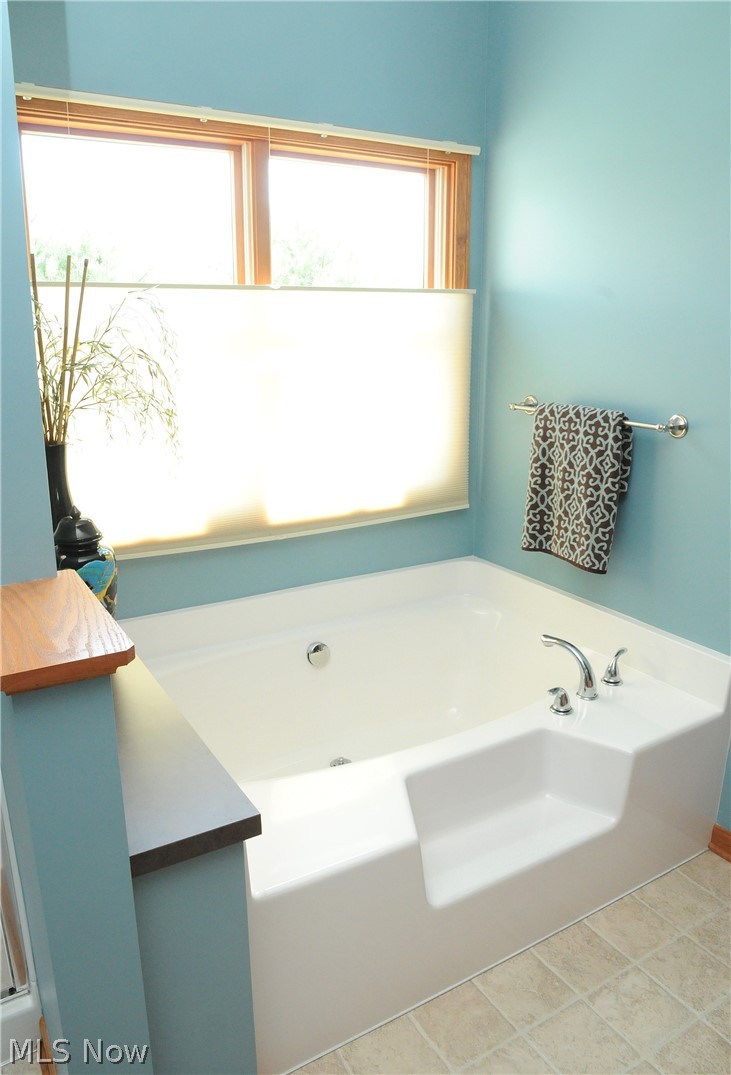 68397 Wintergreen Road Lore City, OH 43755 - Photo 23 of 35 Master bath garden tub
