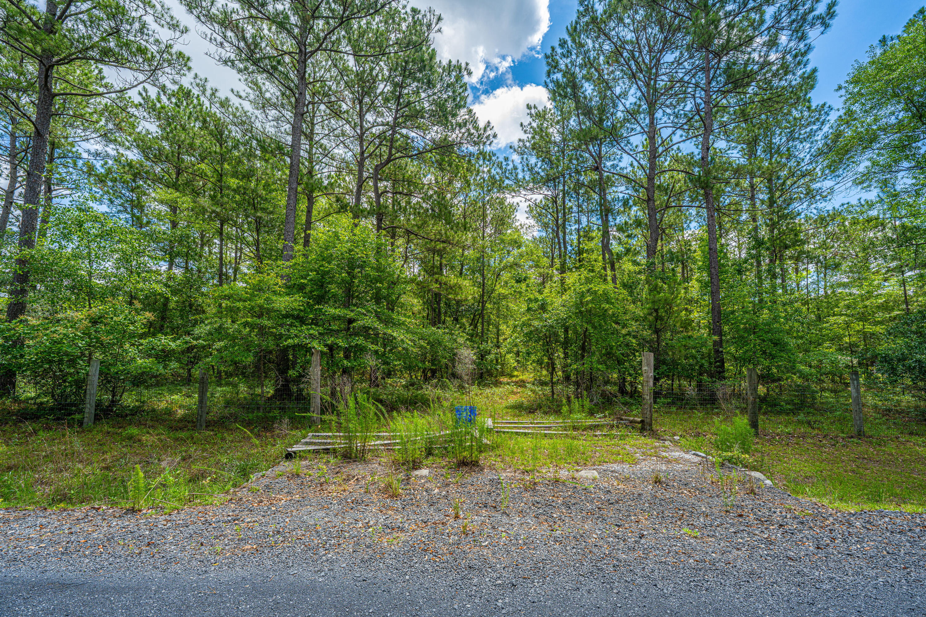 135 Timilstone Court Huger, SC 29450 - Photo 15 of 26 135TimilstoneCt004