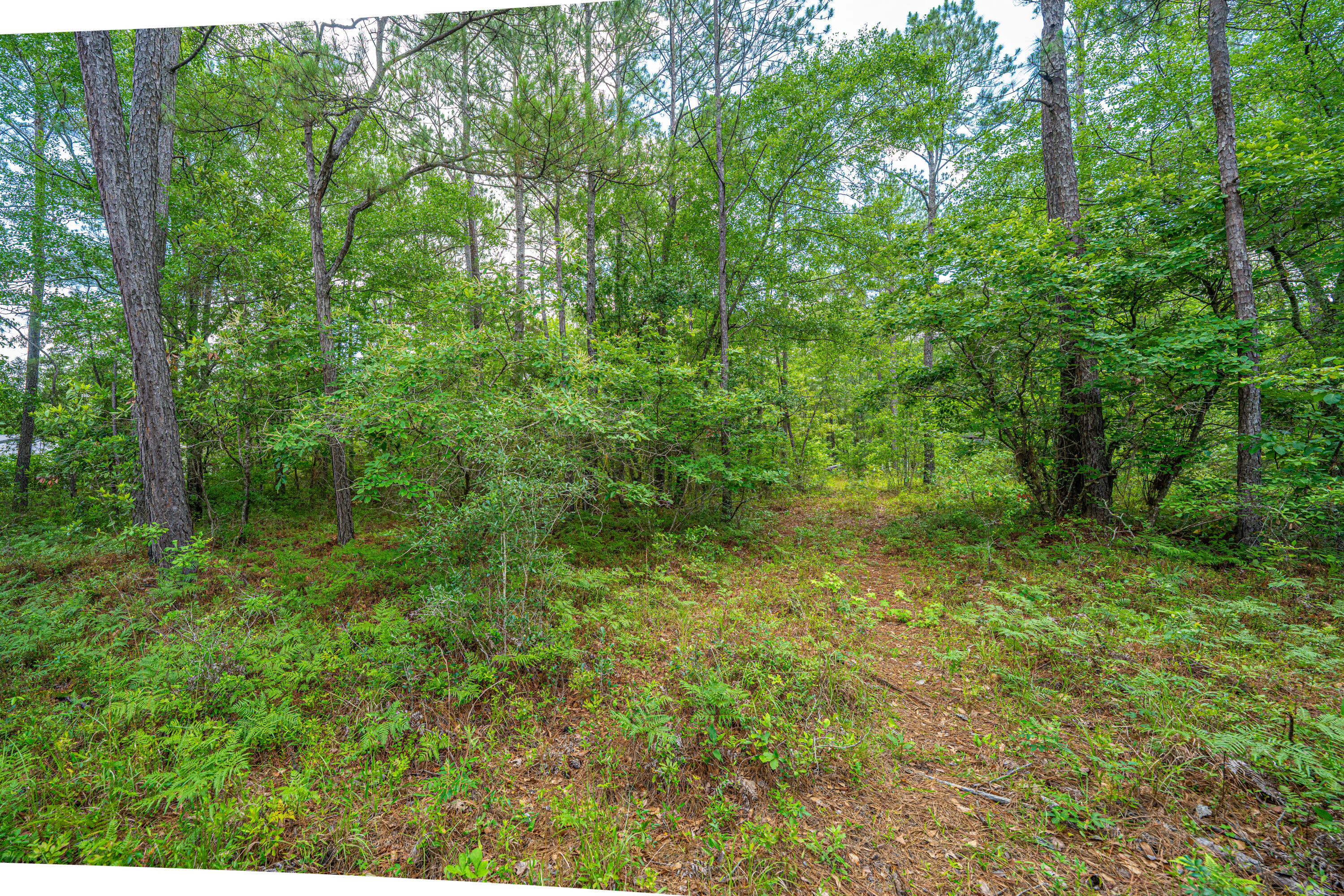 135 Timilstone Court Huger, SC 29450 - Photo 17 of 26 135TimilstoneCt006