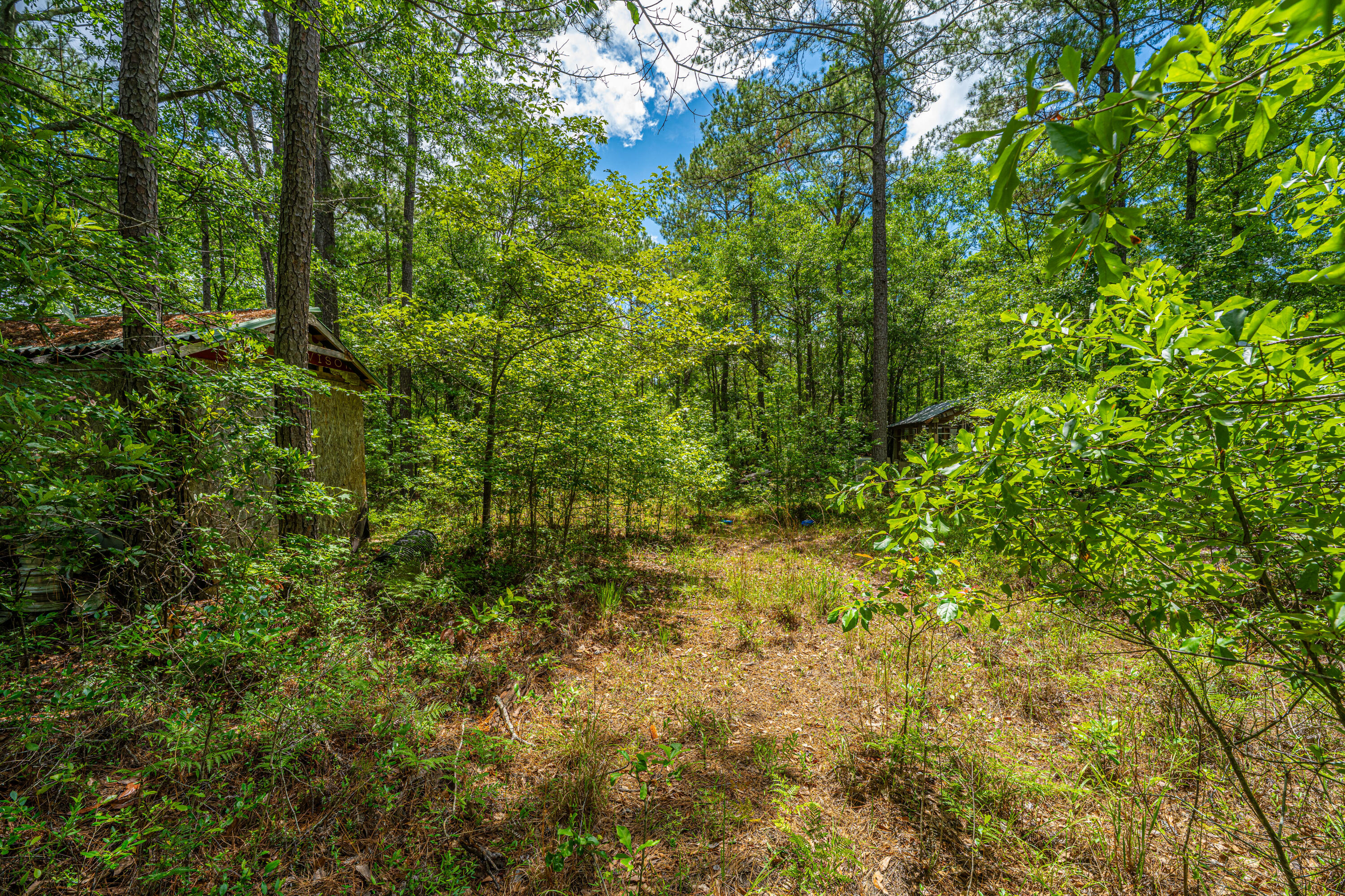 135 Timilstone Court Huger, SC 29450 - Photo 18 of 26 135TimilstoneCt008