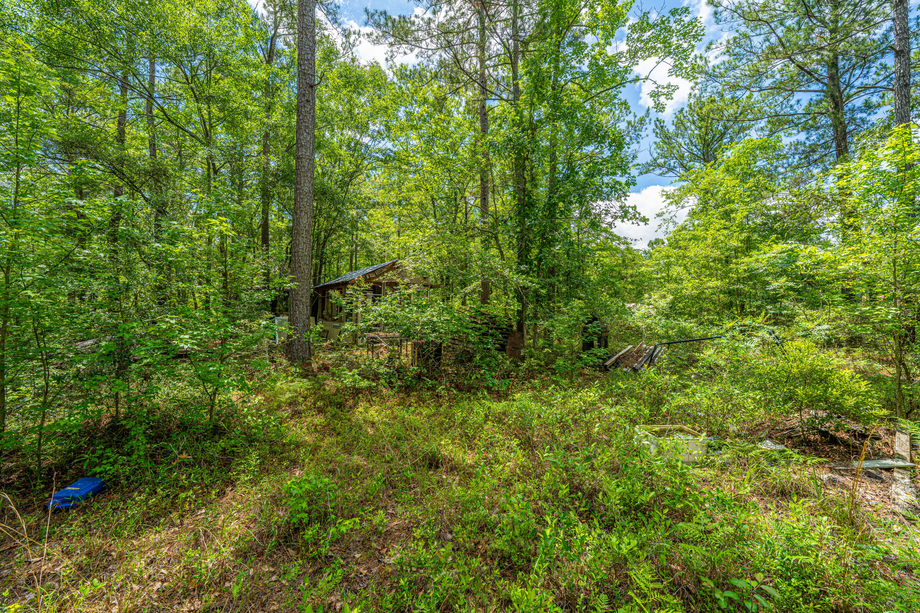135 Timilstone Court Huger, SC 29450 - Photo 19 of 26 135TimilstoneCt009