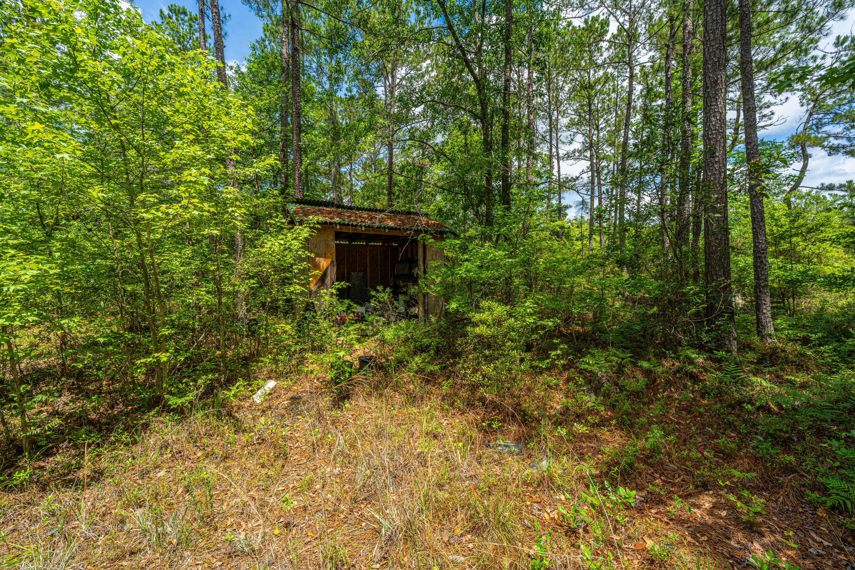 135 Timilstone Court Huger, SC 29450 - Photo 20 of 26 135TimilstoneCt010