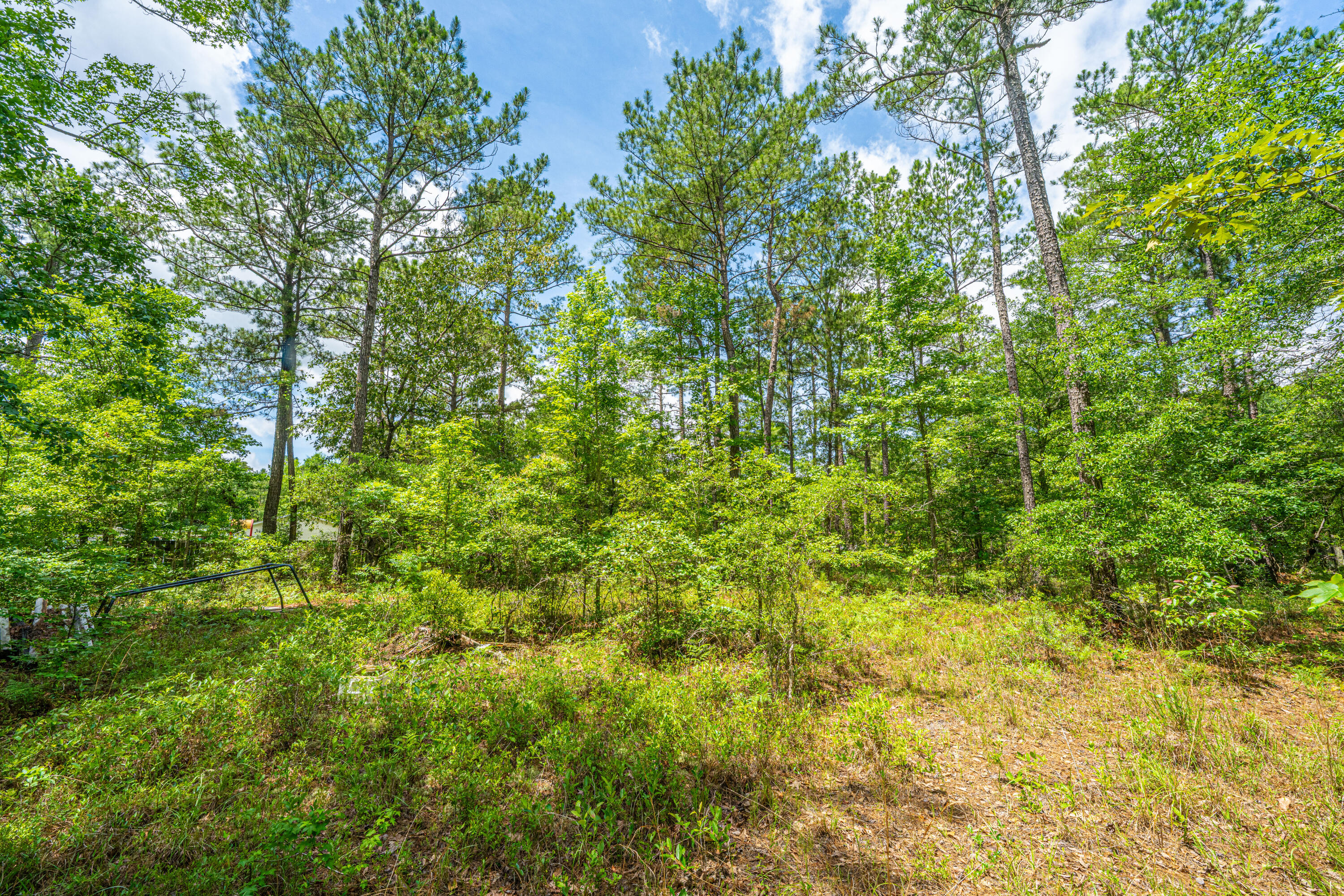 135 Timilstone Court Huger, SC 29450 - Photo 25 of 26 135TimilstoneCt025