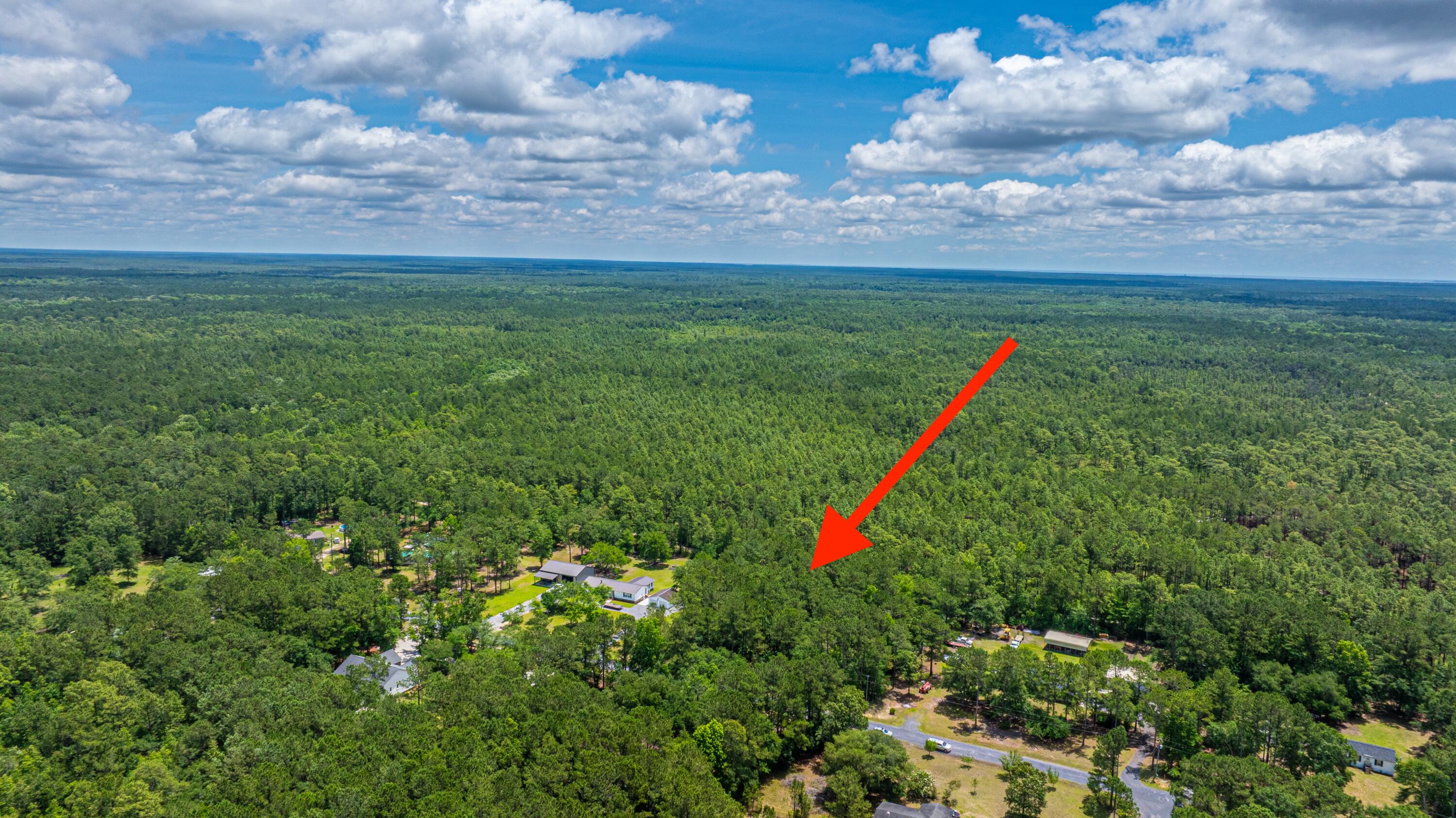 135 Timilstone Court Huger, SC 29450 - Photo 26 of 26 135TimilstoneCt039