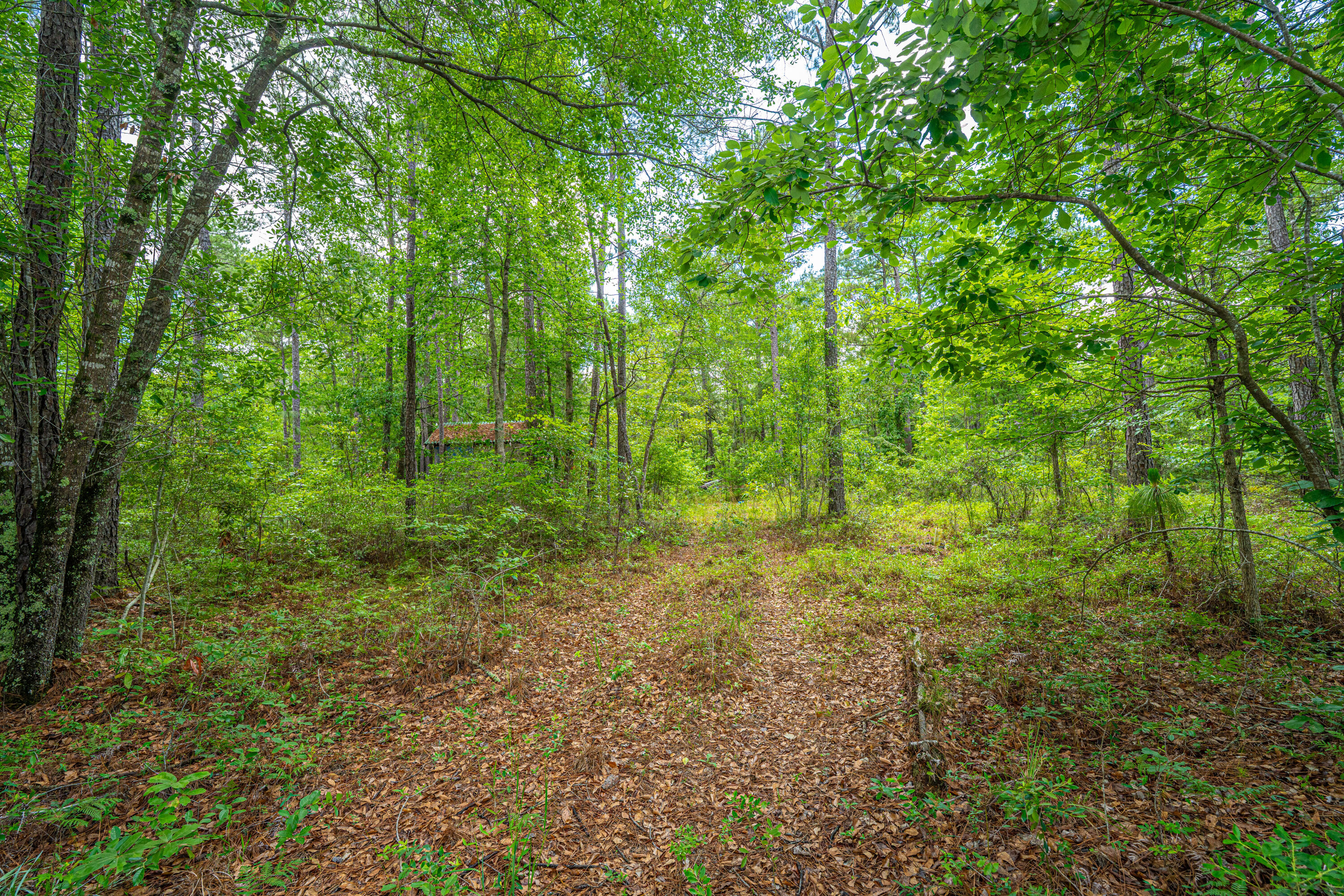 135 Timilstone Court Huger, SC 29450 - Photo 4 of 26 135TimilstoneCt007