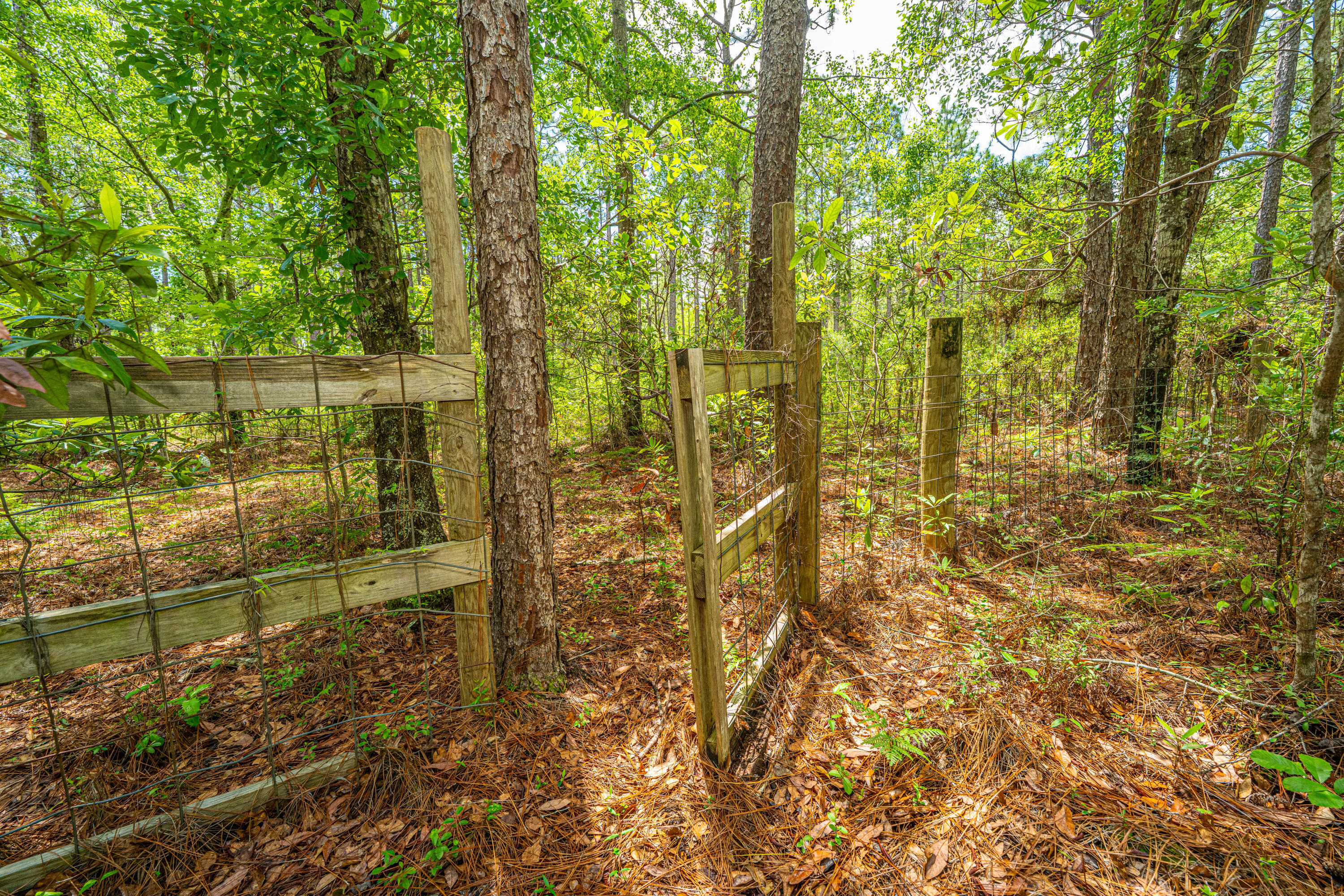 135 Timilstone Court Huger, SC 29450 - Photo 6 of 26 135TimilstoneCt019